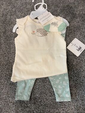 Starting Out Cream Top and Mint Green Hedgehog Legging Set